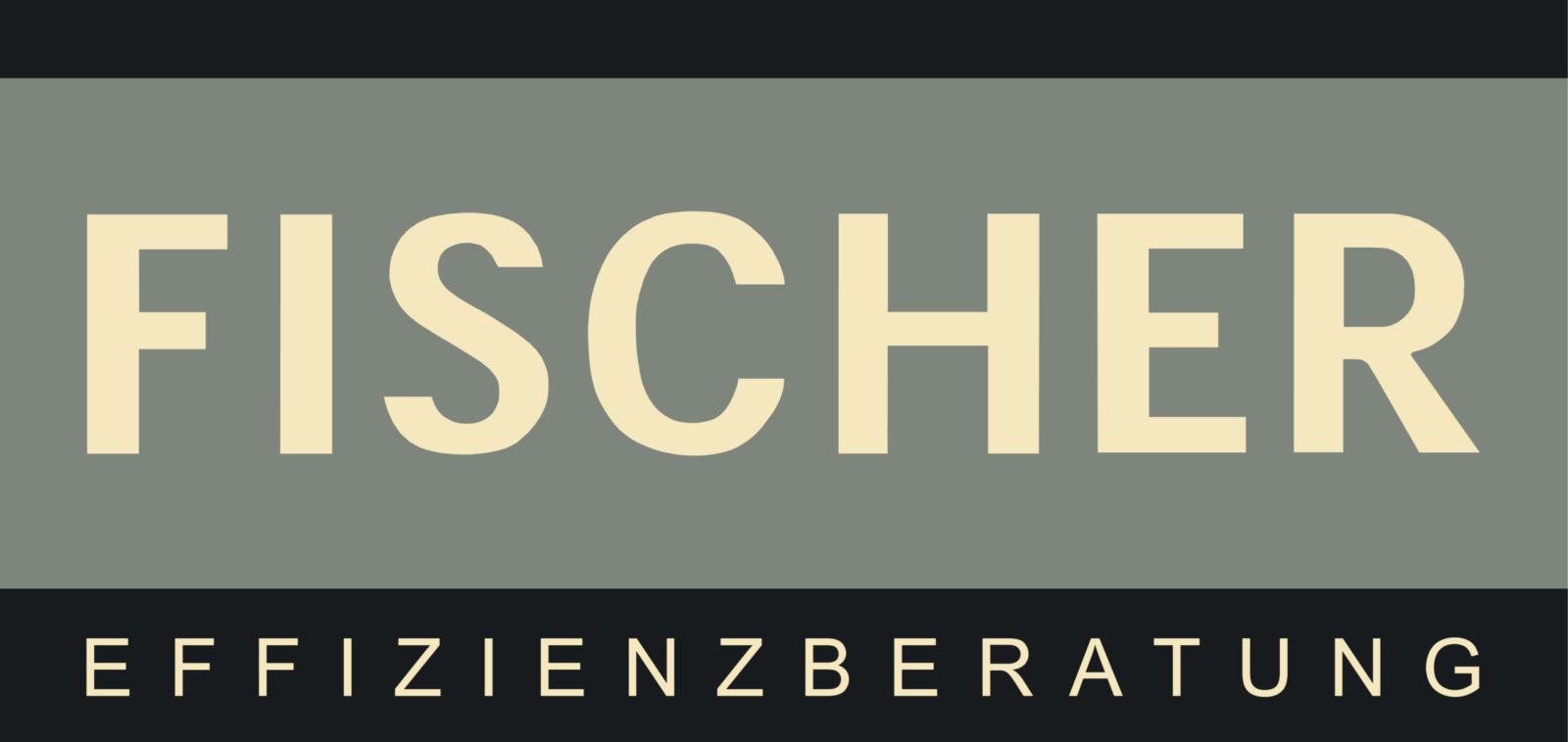 Umsetzungsberater Fischer